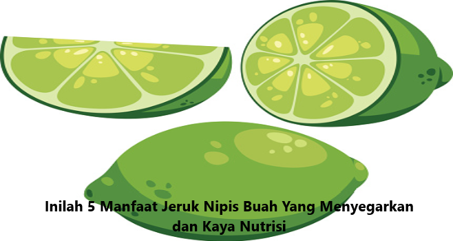 Inilah 5 Manfaat Jeruk Nipis Buah Yang Menyegarkan Dan Kaya Nutrisi,