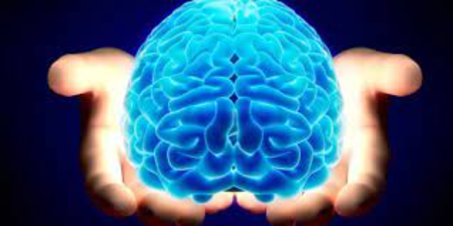 6 Tips untuk Menjaga Kesehatan Otak Tetap Stabil